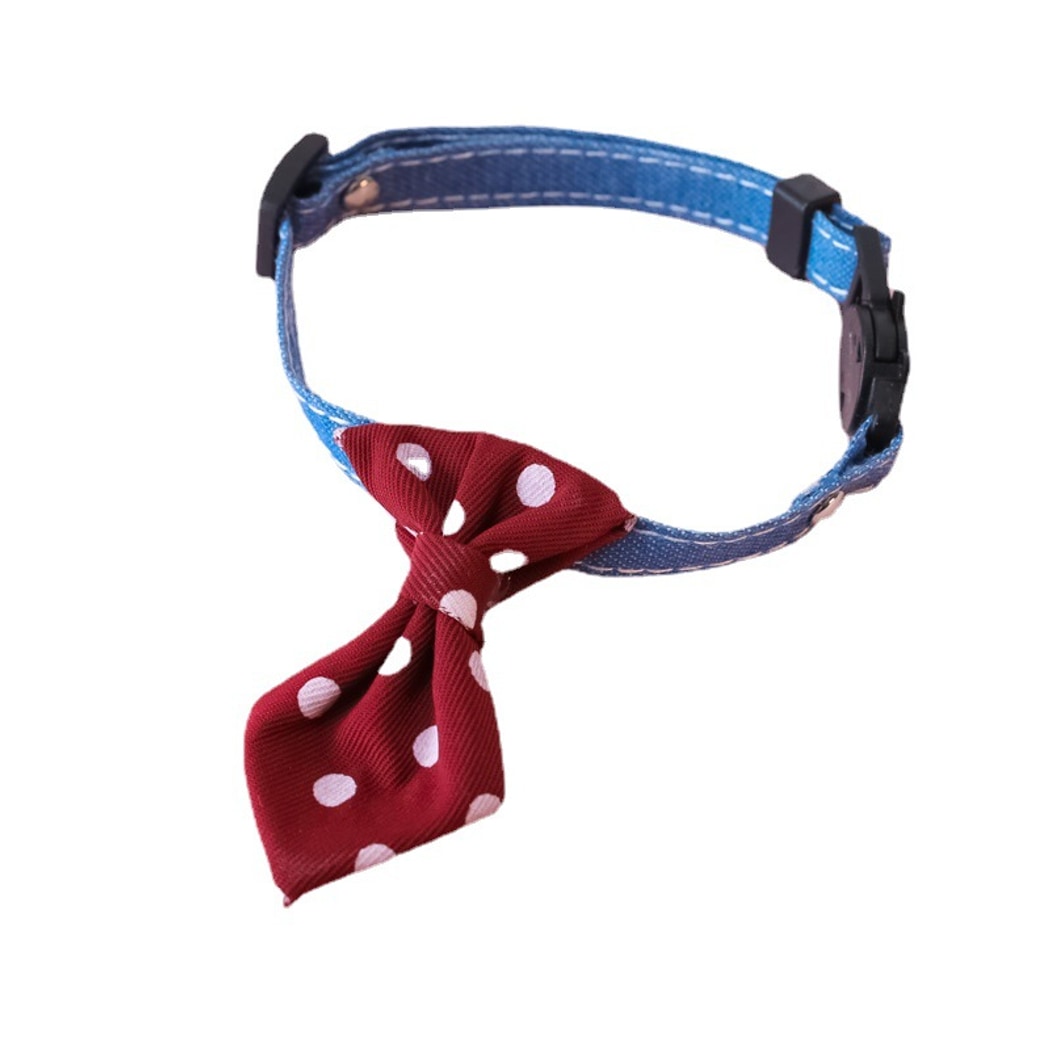 Mokka - British Style Polka Dot Bell Cat Collar