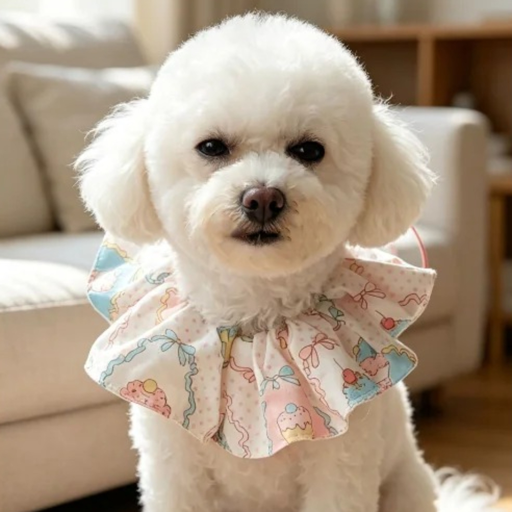 Mokka - Playful Print Ruff Tie Pet Neckwear