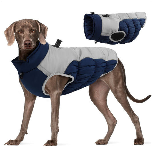 Ozzie - Colorful Waterproof Reflective Winter Jacket for Pets