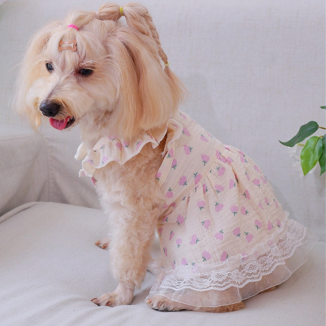 Ozzie - Doll Style Floral Print Dress for Pets