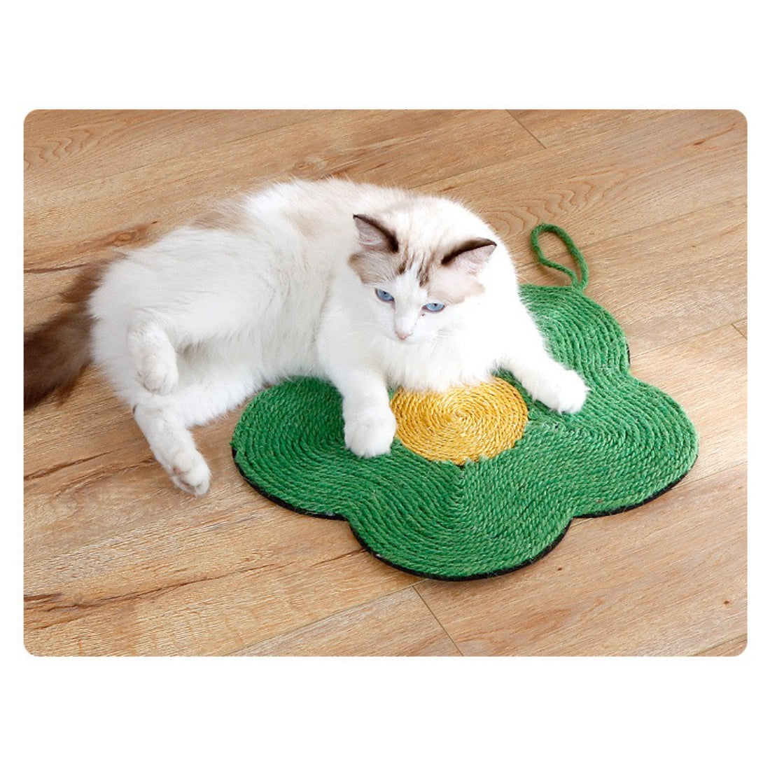 Moo - Flower Hanging Wall Cat Scratcher Toy