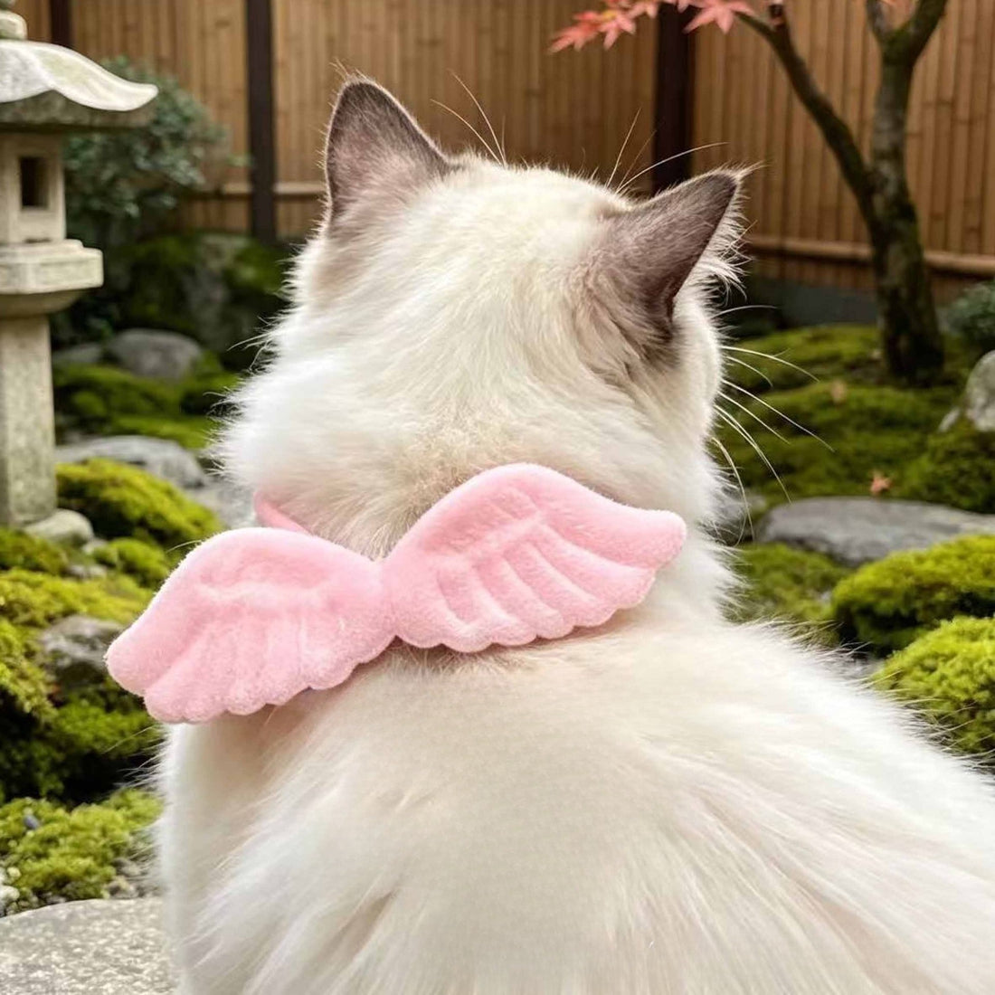 Close-up of Mokka Angel Wing Cat Collar highlighting the angel wing detail and buckle