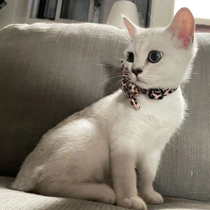 Mokka Leopard Flower Breakaway Cat Collar featuring a safety breakaway buckle