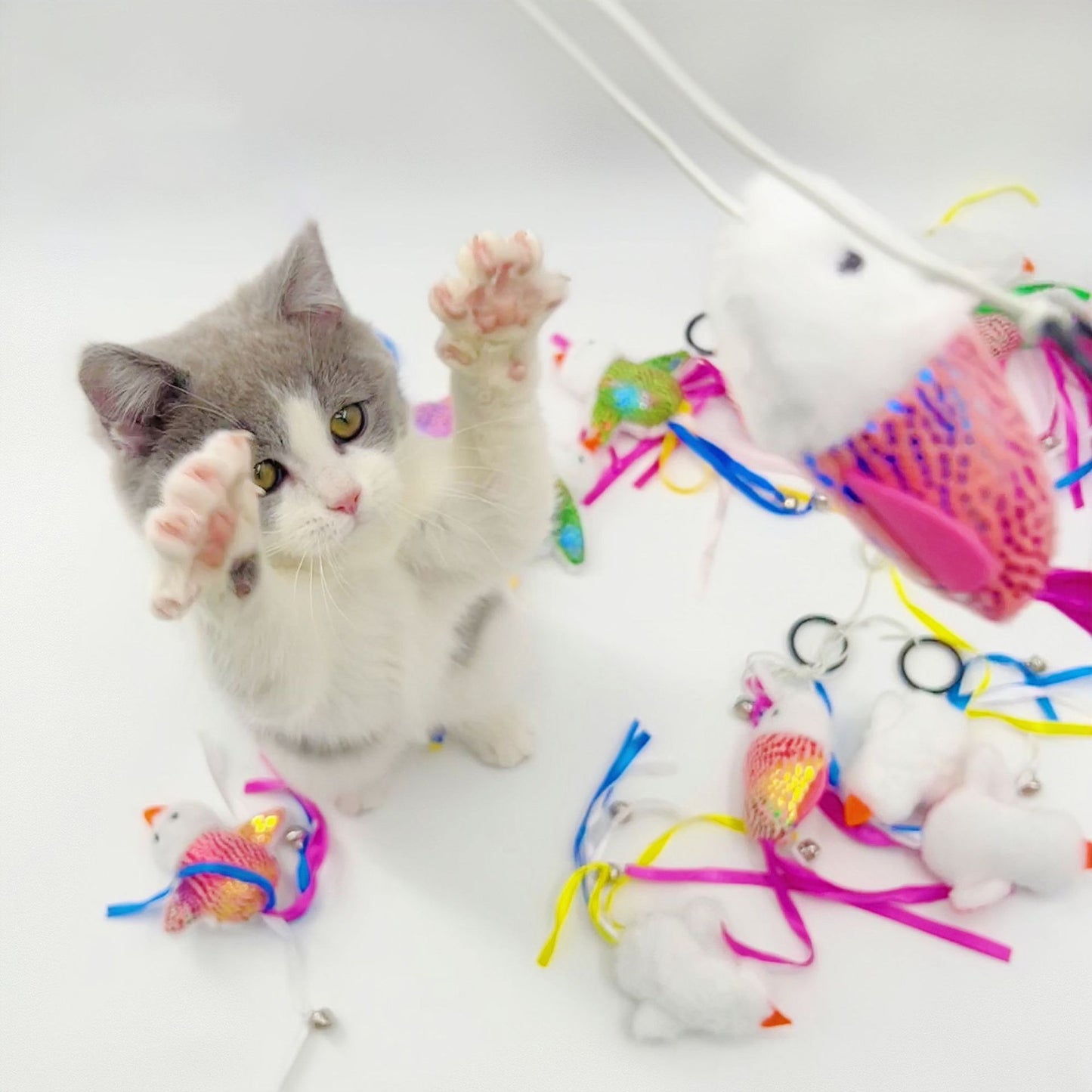 Moo - Colorful Cat Toy 3 pcs Set