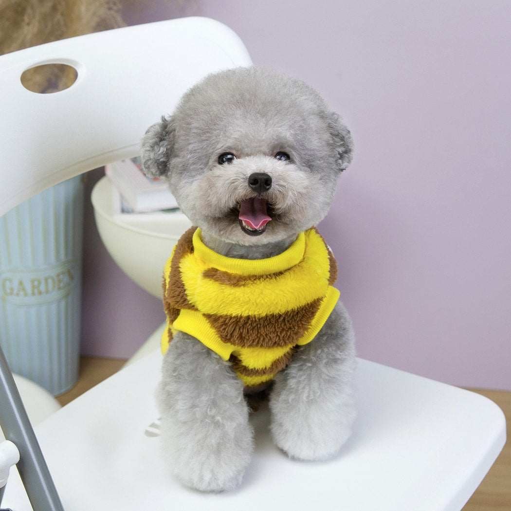 Ozzie - Bee Stripe Cartoon Two-Leg Dog Coat