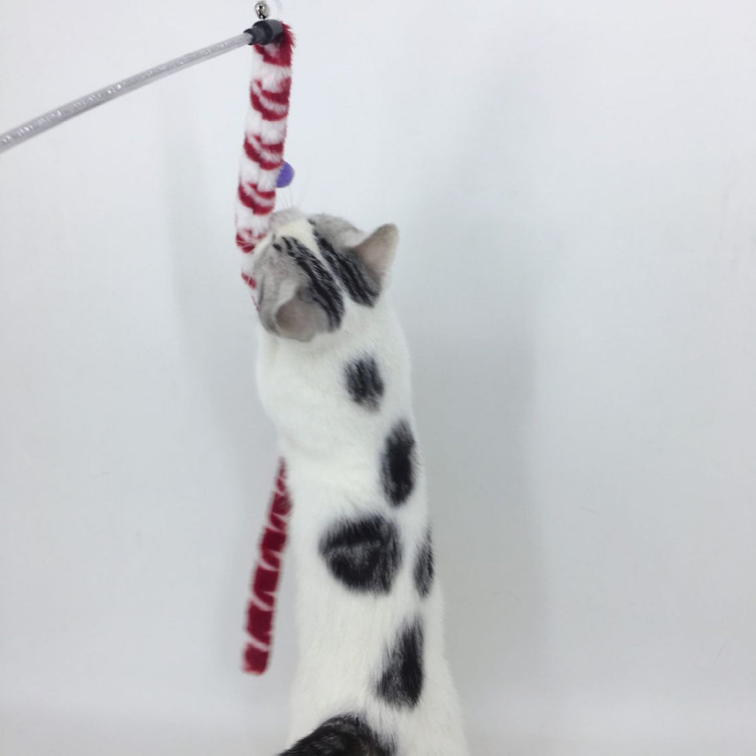 Hand holding the Moo Plush Worm Cat Teaser Wand with red worm plush
