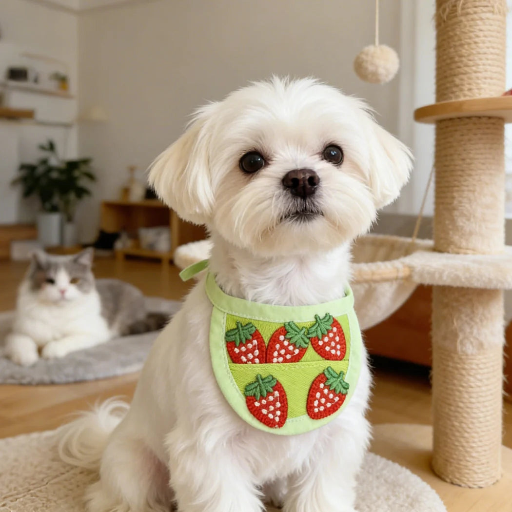 Mokka - Vegetable Pocket Bib Pet Collar