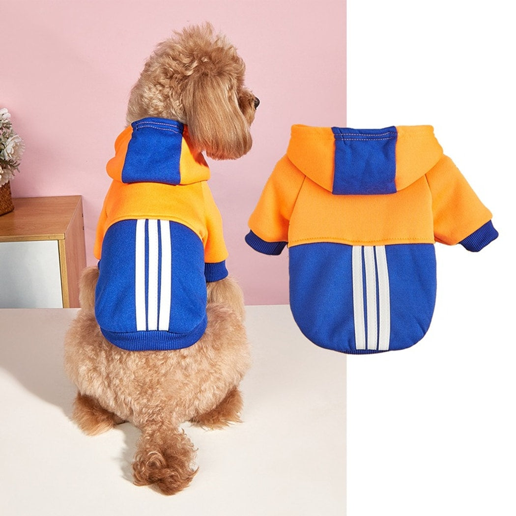 Ozzie - Sports Style Color Block Pet Hoodie
