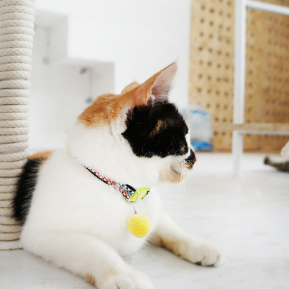 Mokka - Knit Design Colorful Adjustable Collar