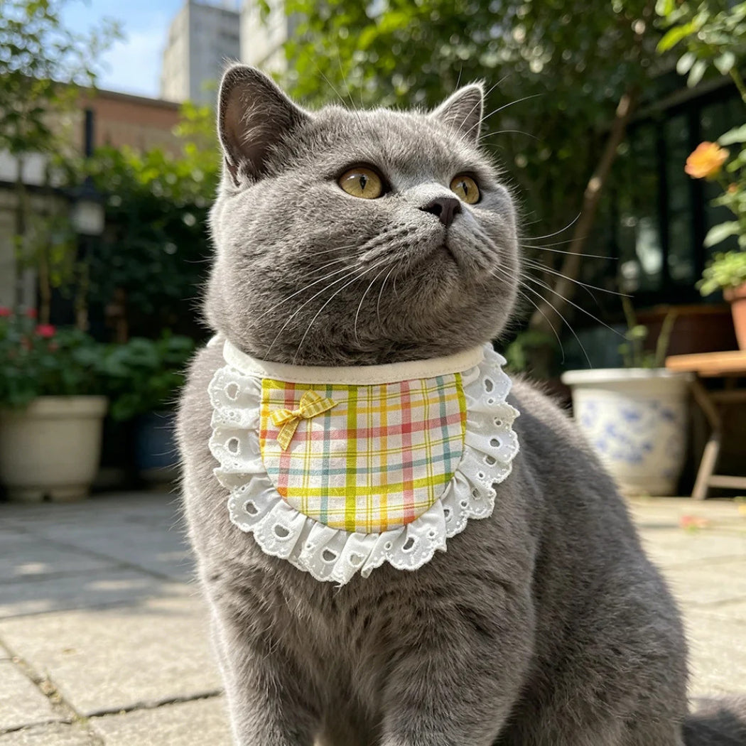 Mokka - Pastel Plaid Panel Cat Neckwear