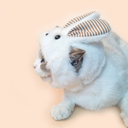 Ozzie - Fluffy Bunny Ears Hat for Cats