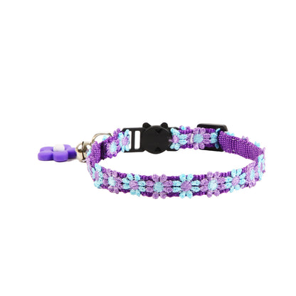 Mokka cat collar with rainbow daisy pattern coiled on white background