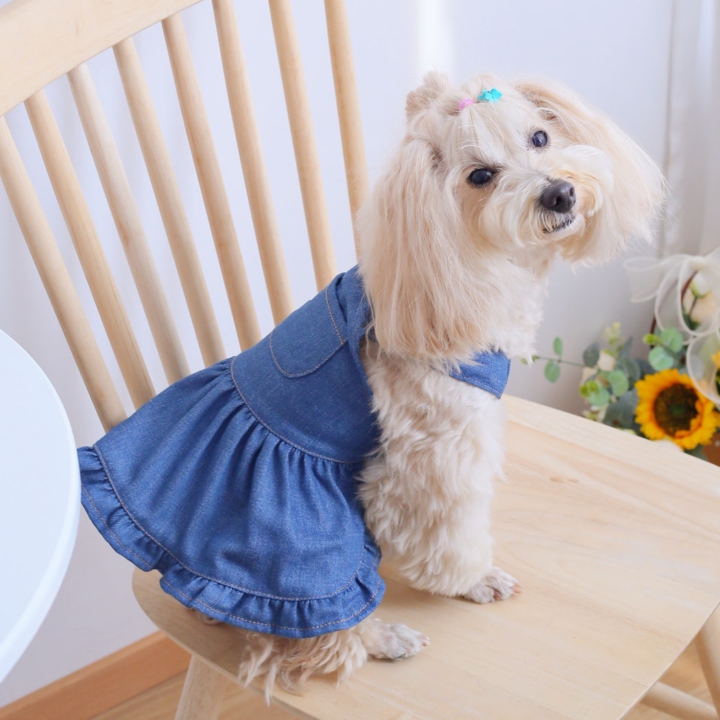 Ozzie - Ruffle Hem Dog Dress