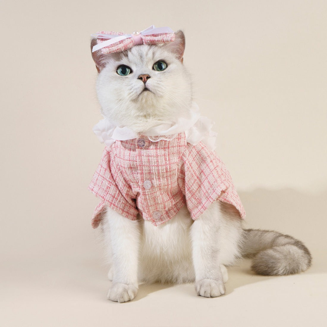 Front view of Ozzie Bow Tweed Cat Top with button design in beige and brown tweed fabric