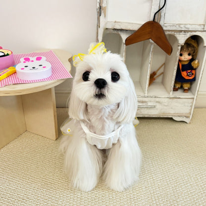 Ozzie - Cute Mesh Pet Dress for Small Dogs