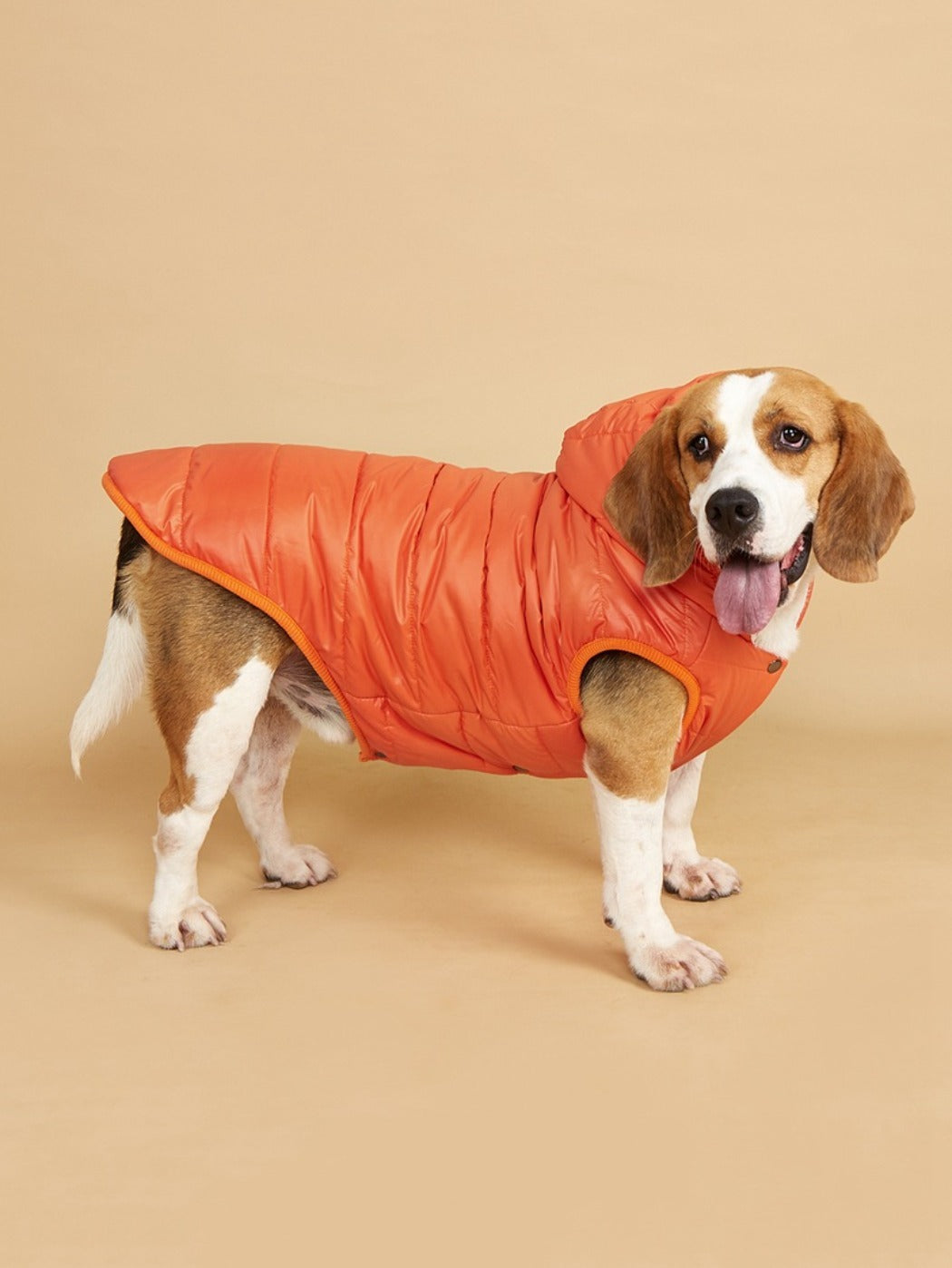 Ozzie – Puffer Hoodie Dog Coat