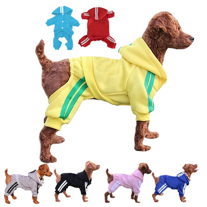 Ozzie hooded dog jumpsuit with black and white sport stripes, front view on a small dog
