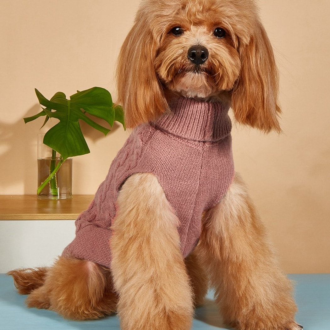 Ozzie - Bow Detail Cable Knit Dog Sweater