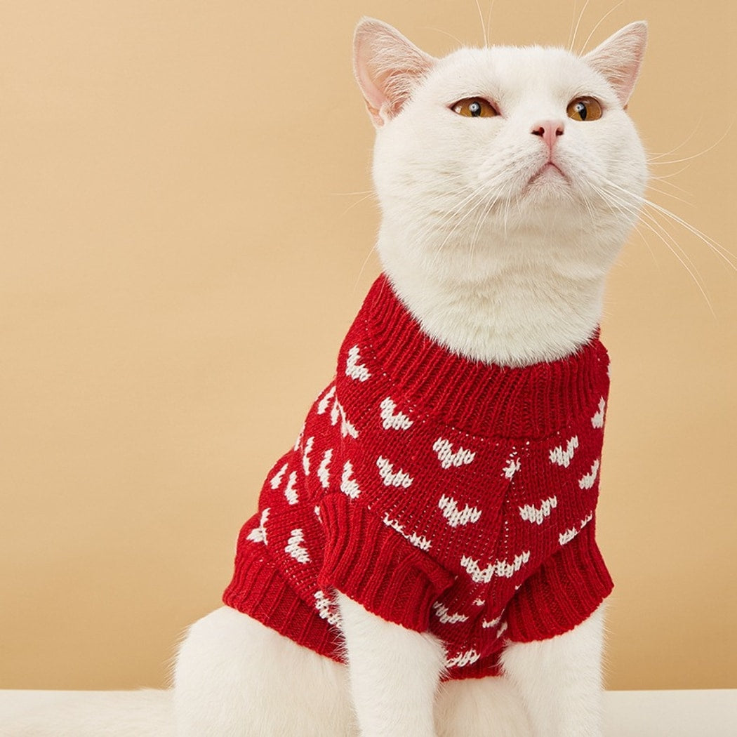 Ozzie - Princess Style Allover Heart Pet Sweater