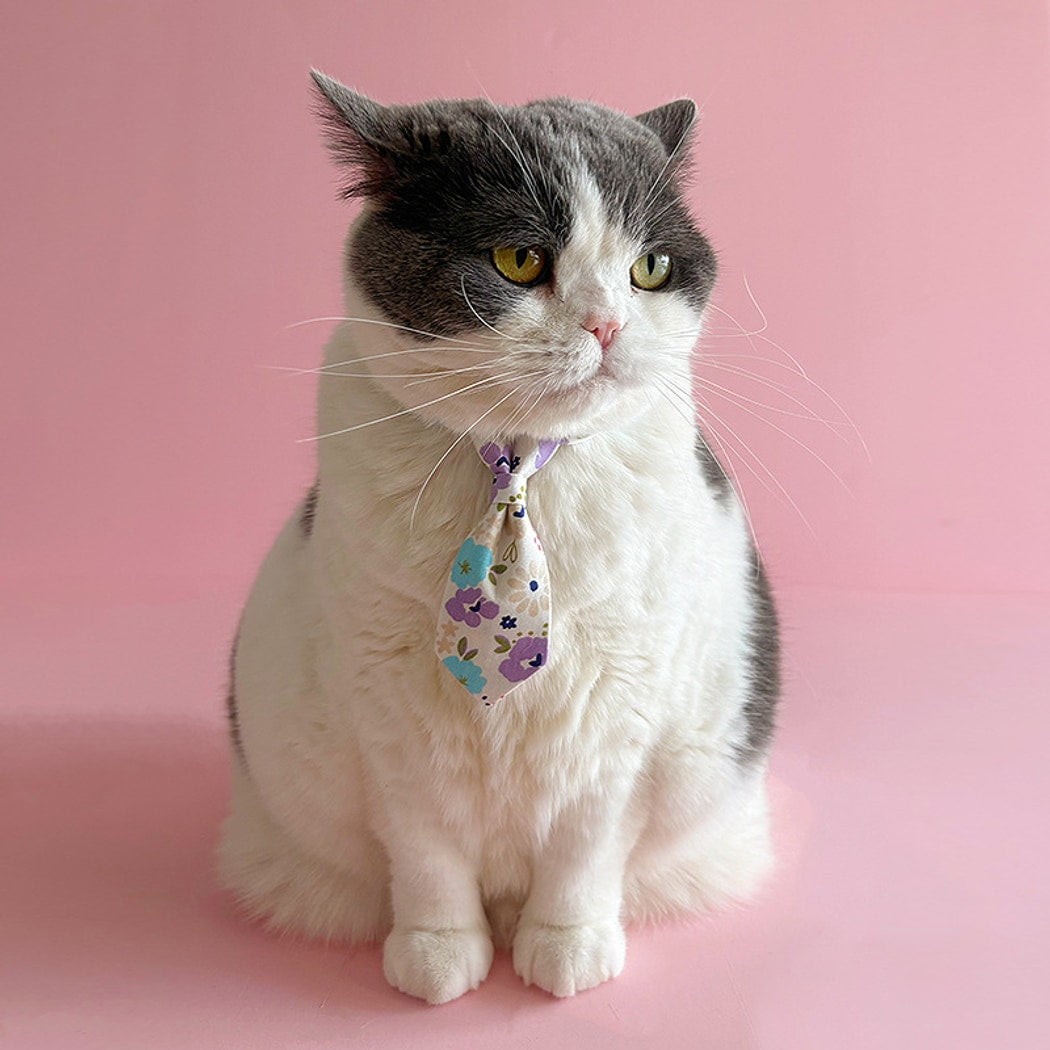 Mokka - Floral Tie Detail Gentry Style Cat Collar