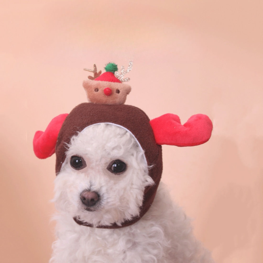 Christmoo - Reindeer Pet Hat