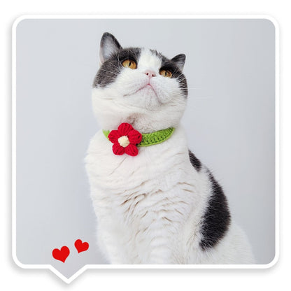 Mokka - Floral Knit Cat Decorative Collar