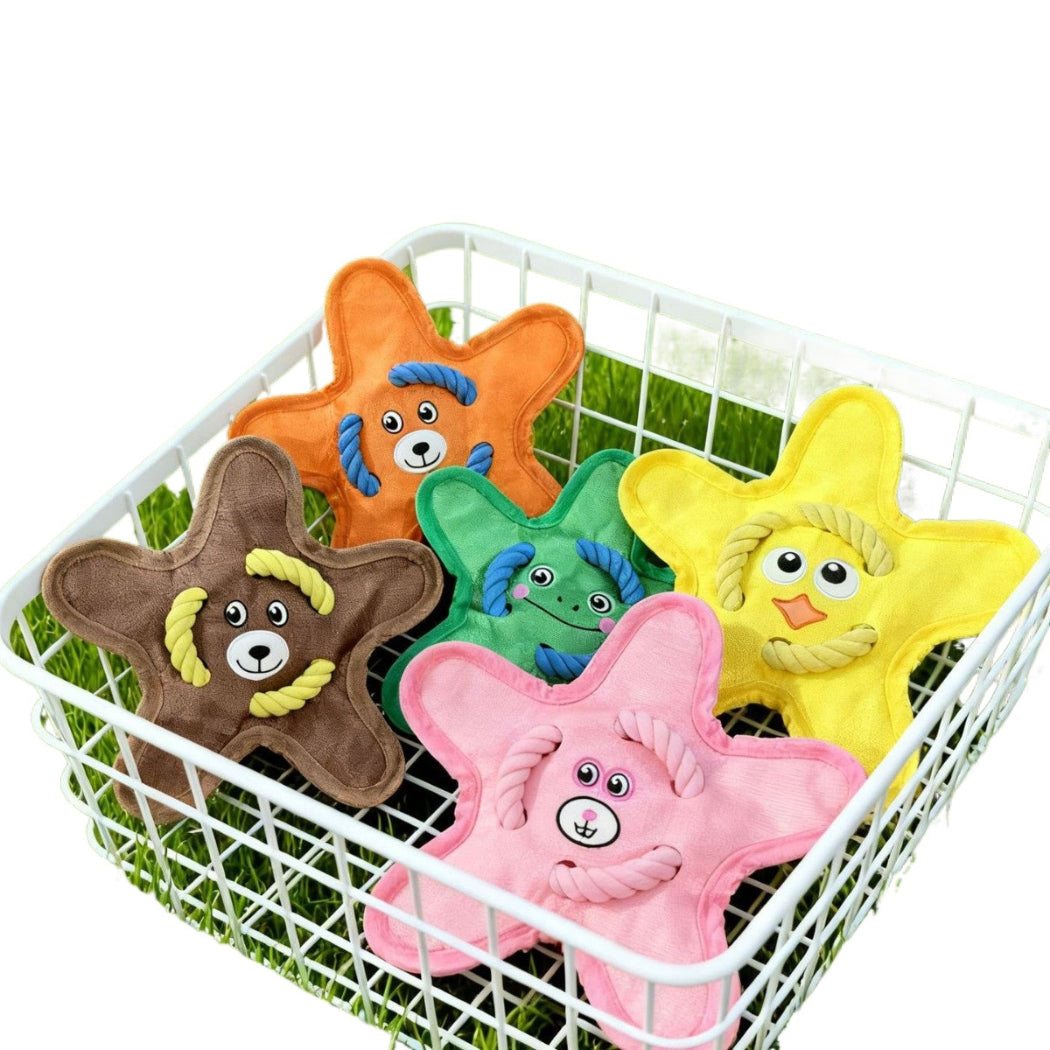 Petkin - Cartoon Face Star-Shaped Plush Dog Toy