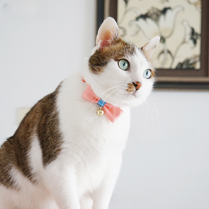 Mokka - Stripe Design Adjustable Collar