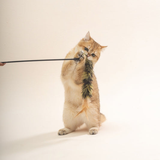 Moo - Fuzzy Tail Cat Teaser Wand