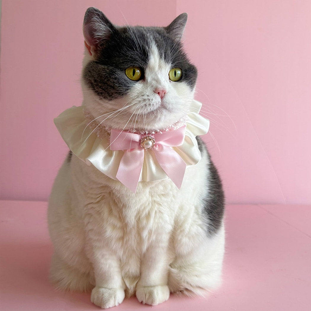 Mokka - Bow Ruffle Cat Decorative Bib