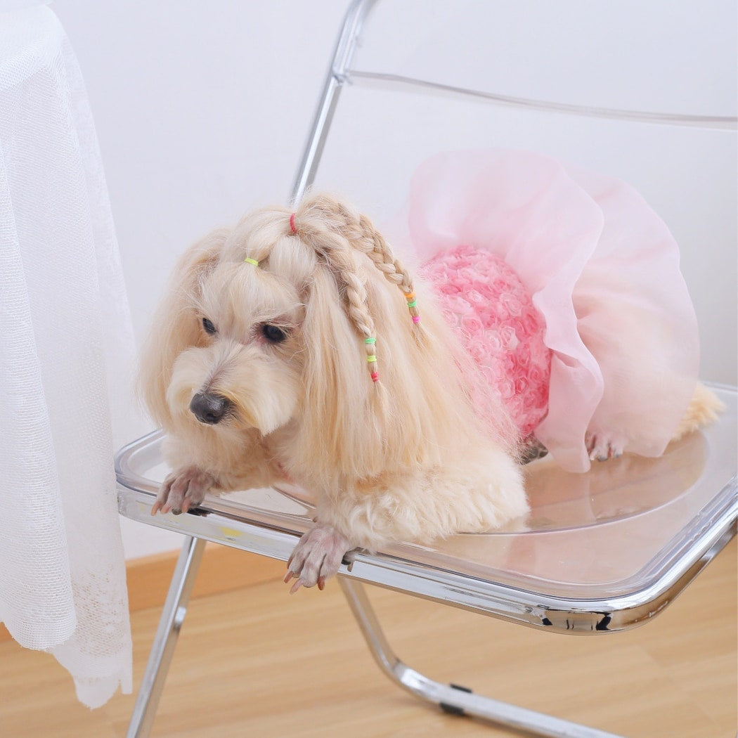 Ozzie - Rose Texture Ruffle Party Pet Dress