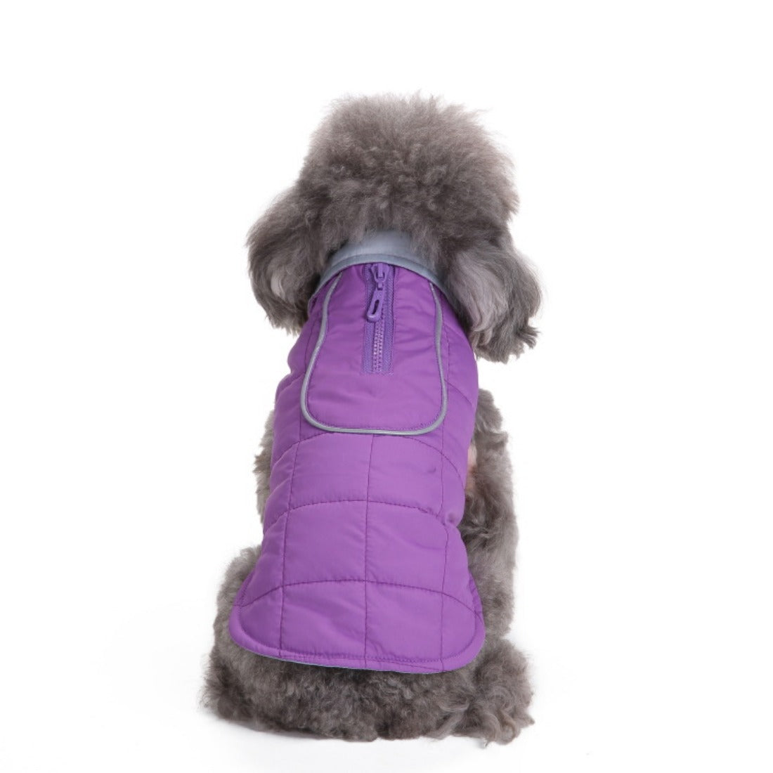 Ozzie - Solid Color Small Dog Winter Coat