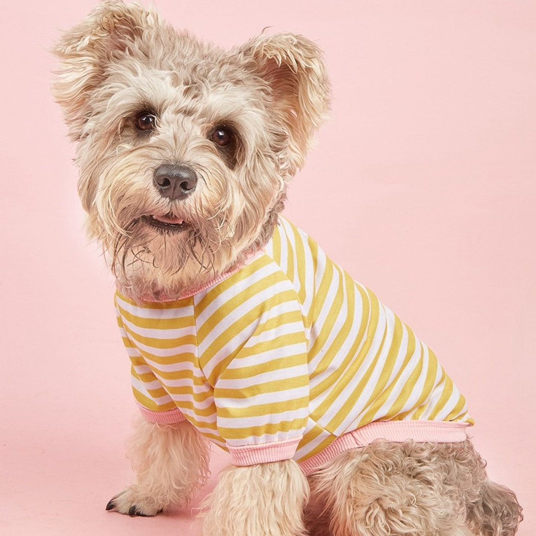 Ozzie - Casual Short Sleeve Striped Pet Dog T-Shirt
