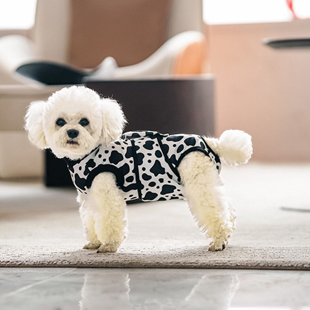 Ozzie - Trim Detail Dog Aftercare Recovery Vest