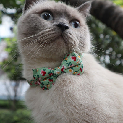 Mokka floral bowtie cat collar with bell view 8