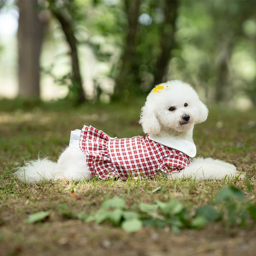 Ozzie - Spring Summer Plaid Princess Style Dog Dress