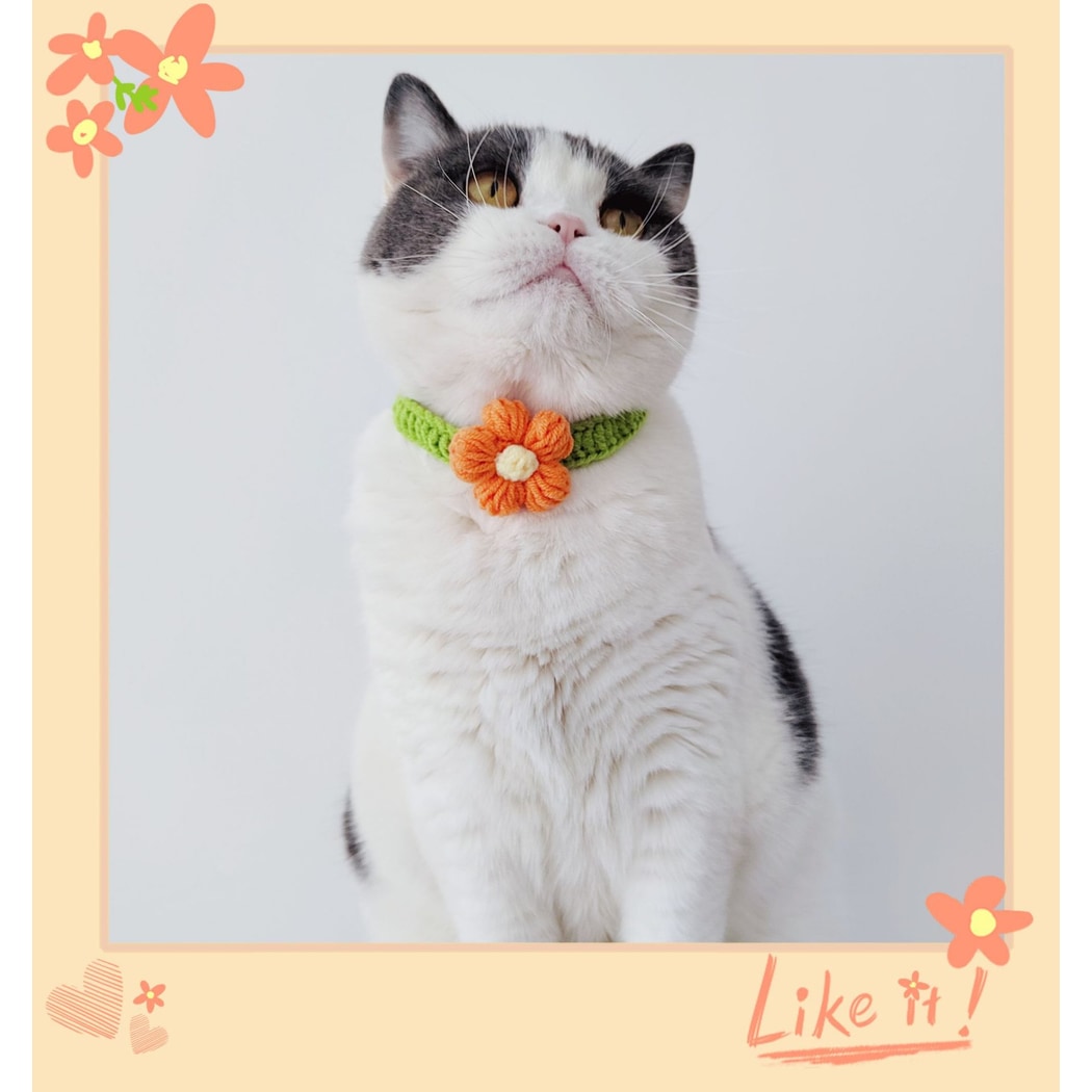 Mokka - Floral Knit Cat Decorative Collar