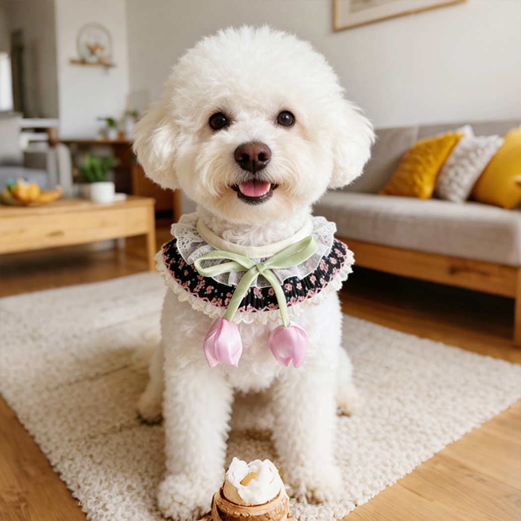 Mokka - Floral Lace Trim Pet Collar