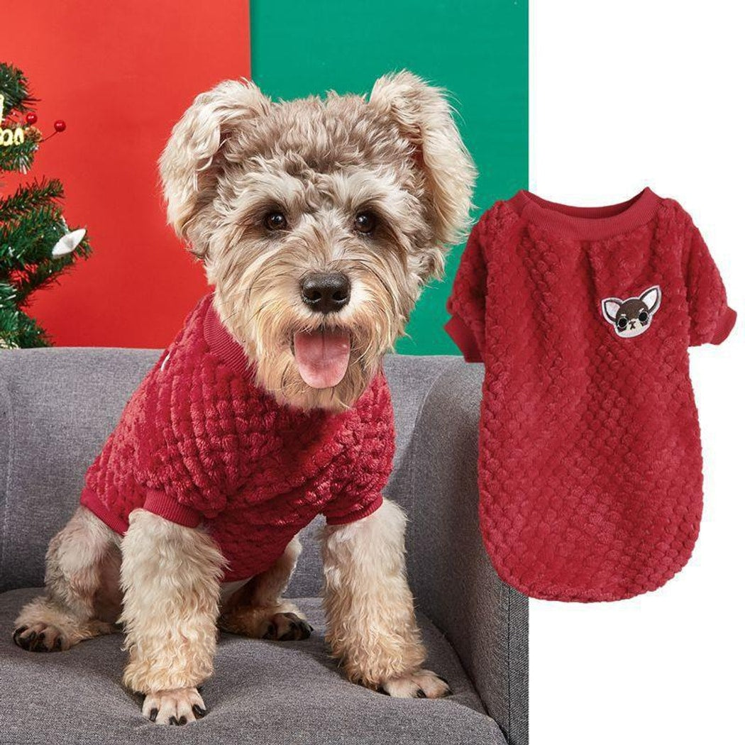 Ozzie - Pullover Round Neck Dog Sweater