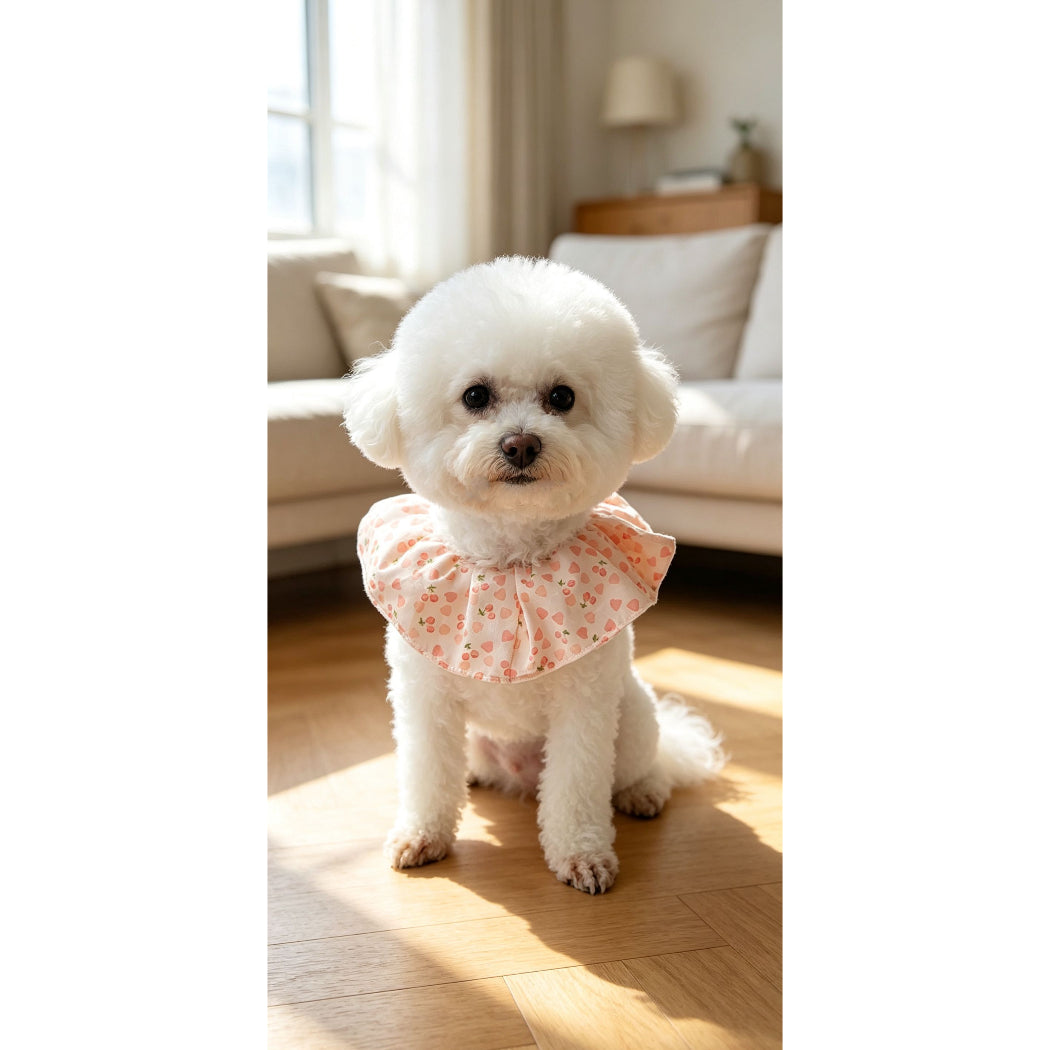 Mokka - Gathered Ruff Tie Pet Neckwear