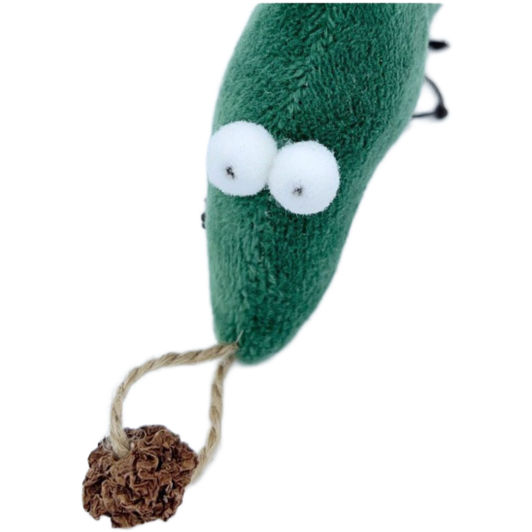 Front detail of the green cat toy showing two white eyes and the brown ball on a tan cord loop