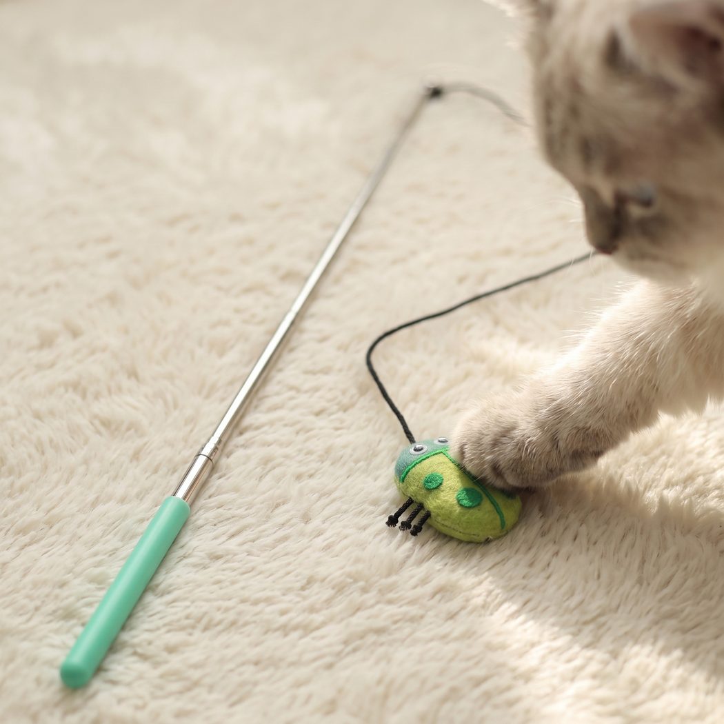 Cat resting a paw on a green ladybug attachment beside a green-handled wand