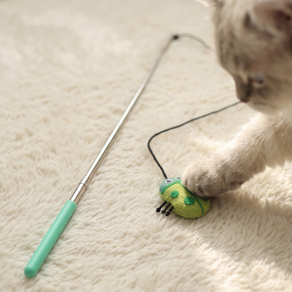 Cat resting a paw on a green ladybug attachment beside a green-handled wand