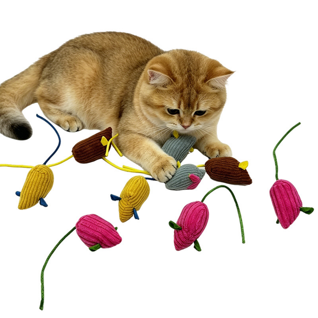Golden cat touching Gray mouse-shaped toys among Pink, Yellow and Brown toys