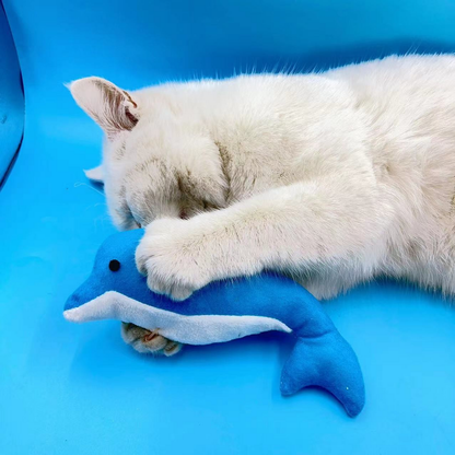 White cat resting its head and front paw on the Dolphin cat toy against a blue background