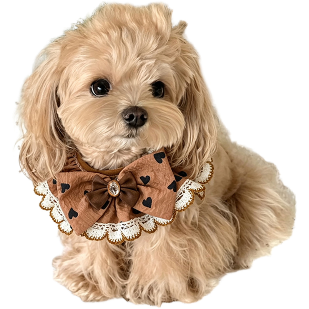 Hearts Pet Neckwear with a dark brown bow and scalloped edging, worn by a tan dog