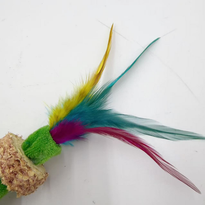 Close-up of multicolored feathers attached to the Green cat toy