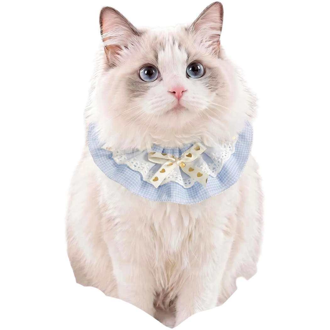 Blue ruffled Pet Neckwear worn by a white cat, showing the front bow and drape