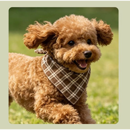 Brown plaid triangular pet neckwear worn by a brown dog outdoors