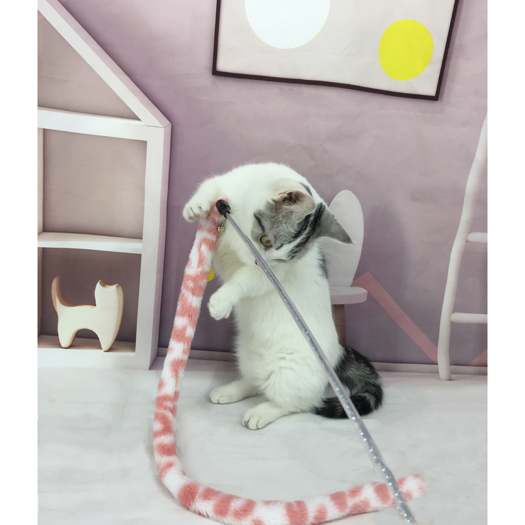 Seated cat holding a Blush cat teaser wand